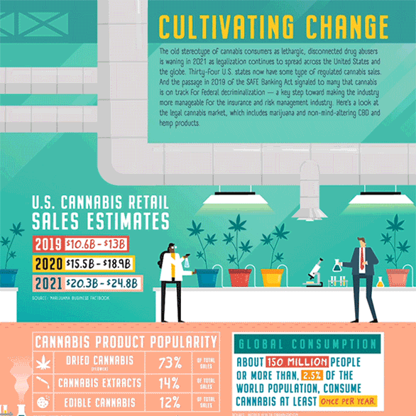Marijuana Infographic