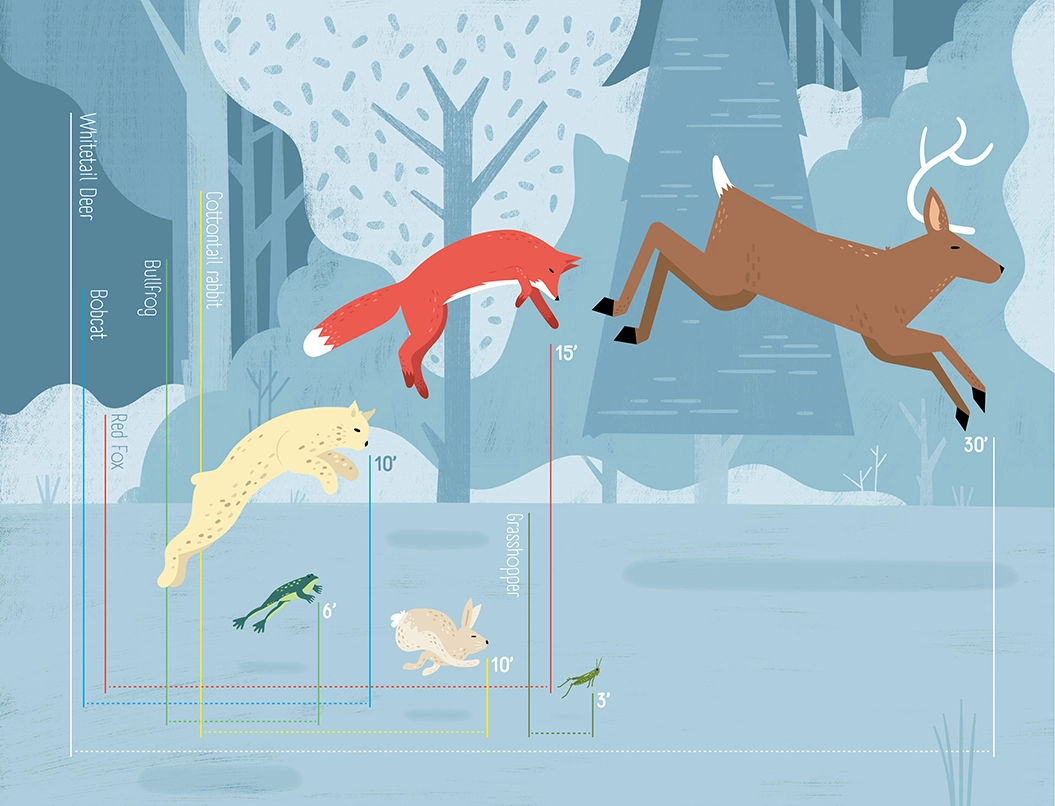 Adirondack Life Jumping Infographic